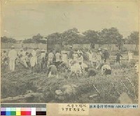 藏品(桃園公學校兒童農業實習)的圖片